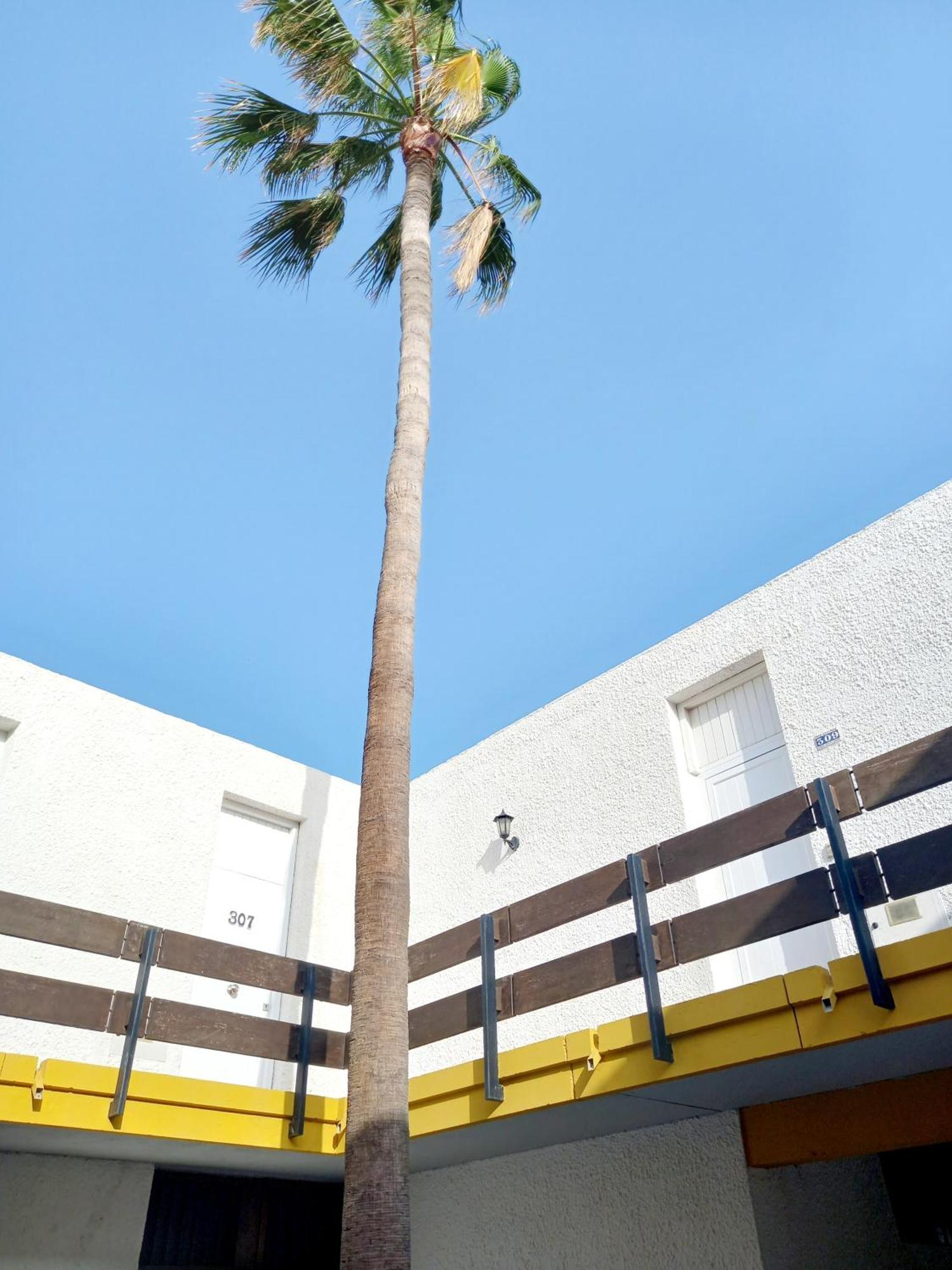 Papagayo Beach Apartments Arona (Tenerife) Exterior foto